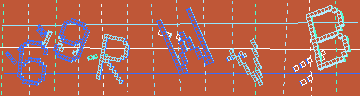 確認代碼