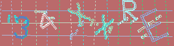 確認代碼