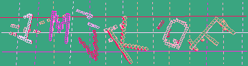 確認代碼