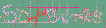 確認代碼