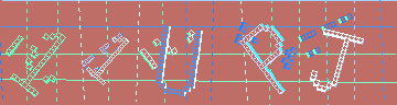 確認代碼
