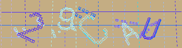 確認代碼