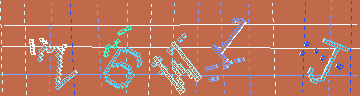 確認代碼