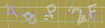 確認代碼