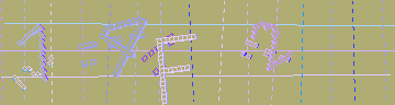 確認代碼