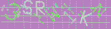 確認代碼