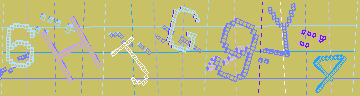 確認代碼