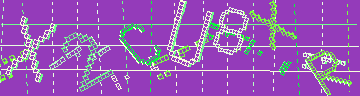 確認代碼