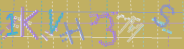 確認代碼