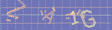 確認代碼