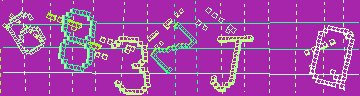 確認代碼