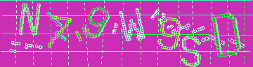 確認代碼