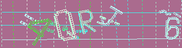 確認代碼