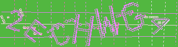 確認代碼
