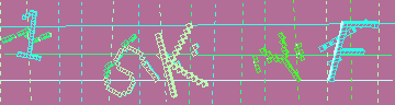確認代碼