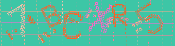 確認代碼