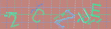 確認代碼
