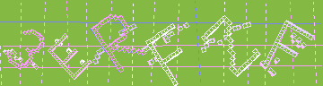 確認代碼
