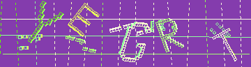 確認代碼