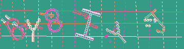 確認代碼