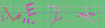 確認代碼