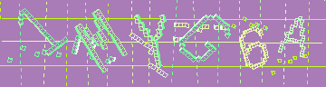 確認代碼
