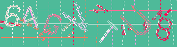 確認代碼