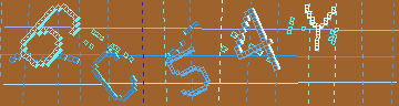 確認代碼