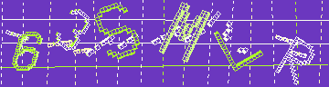 確認代碼