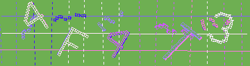 確認代碼