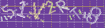 確認代碼