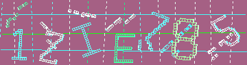 確認代碼