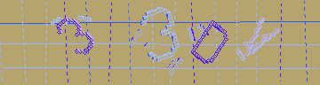 確認代碼