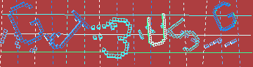 確認代碼