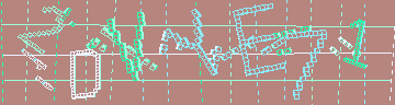 確認代碼