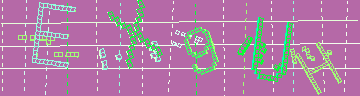 確認代碼