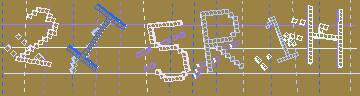 確認代碼