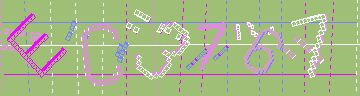 確認代碼