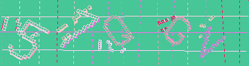 確認代碼