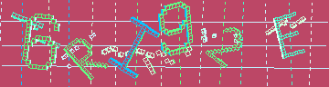 確認代碼