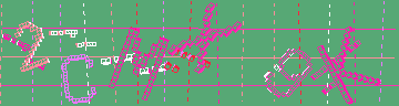 確認代碼