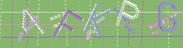 確認代碼