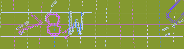 確認代碼