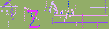 確認代碼