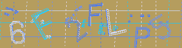 確認代碼
