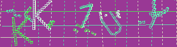 確認代碼