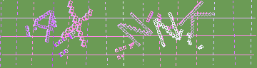 確認代碼