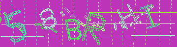 確認代碼