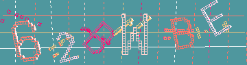 確認代碼