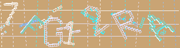 確認代碼